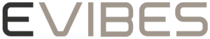 logo-evibes-2021 logo-evibes-2021